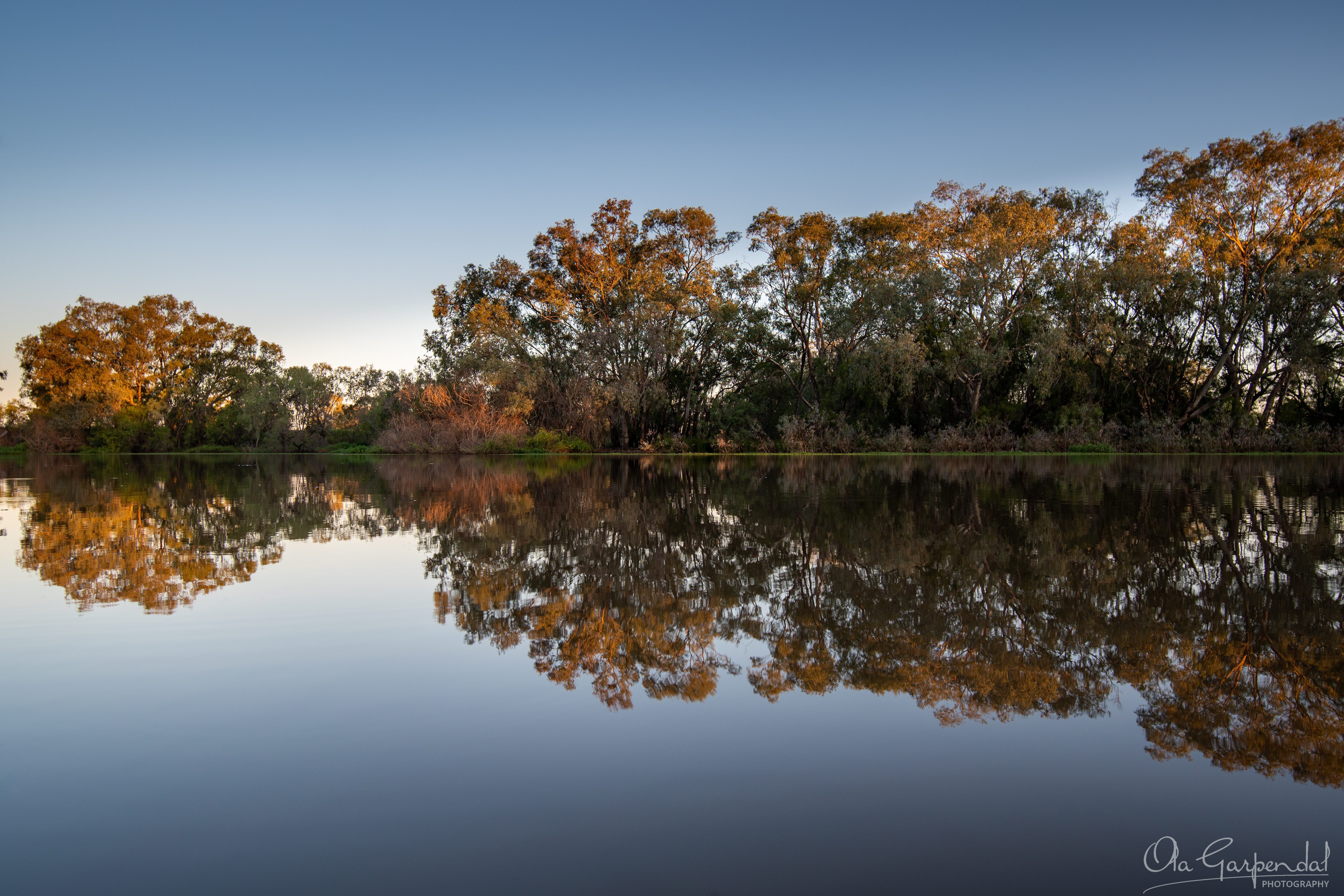 Bogan River through Nyngan