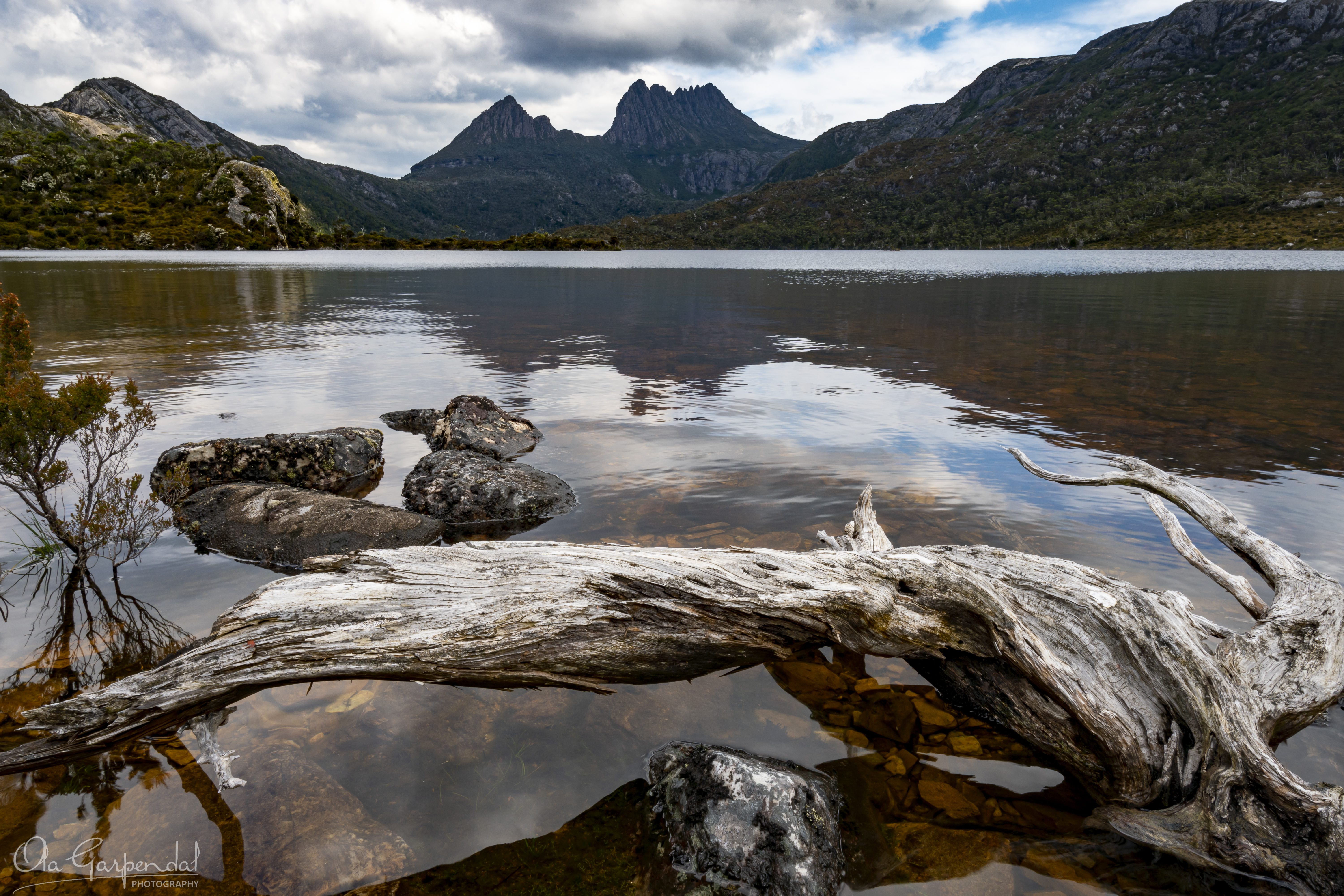 Cradle Mountain Dove Lake Tasmania driftwood