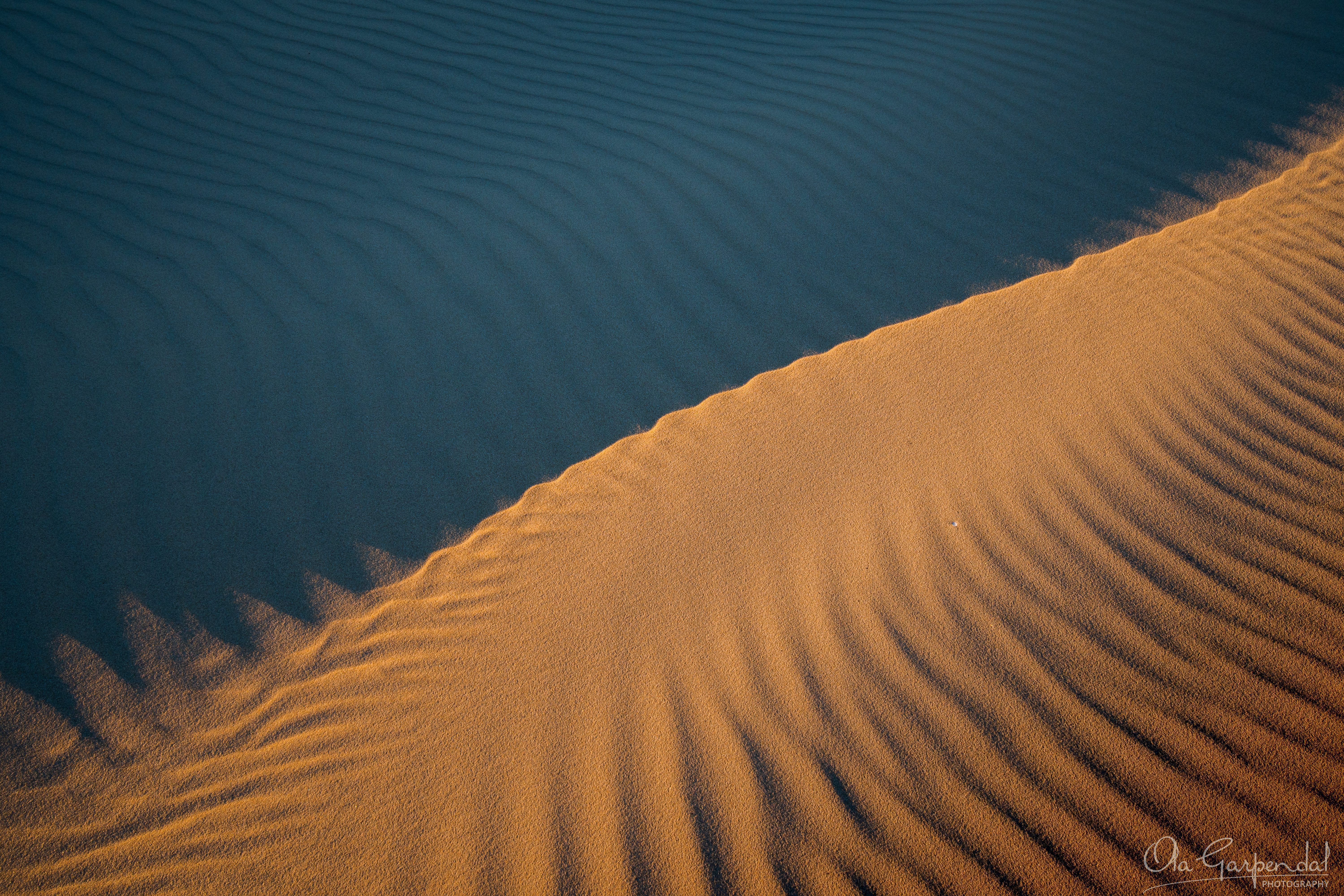 Stockton Beach Sand Dunes