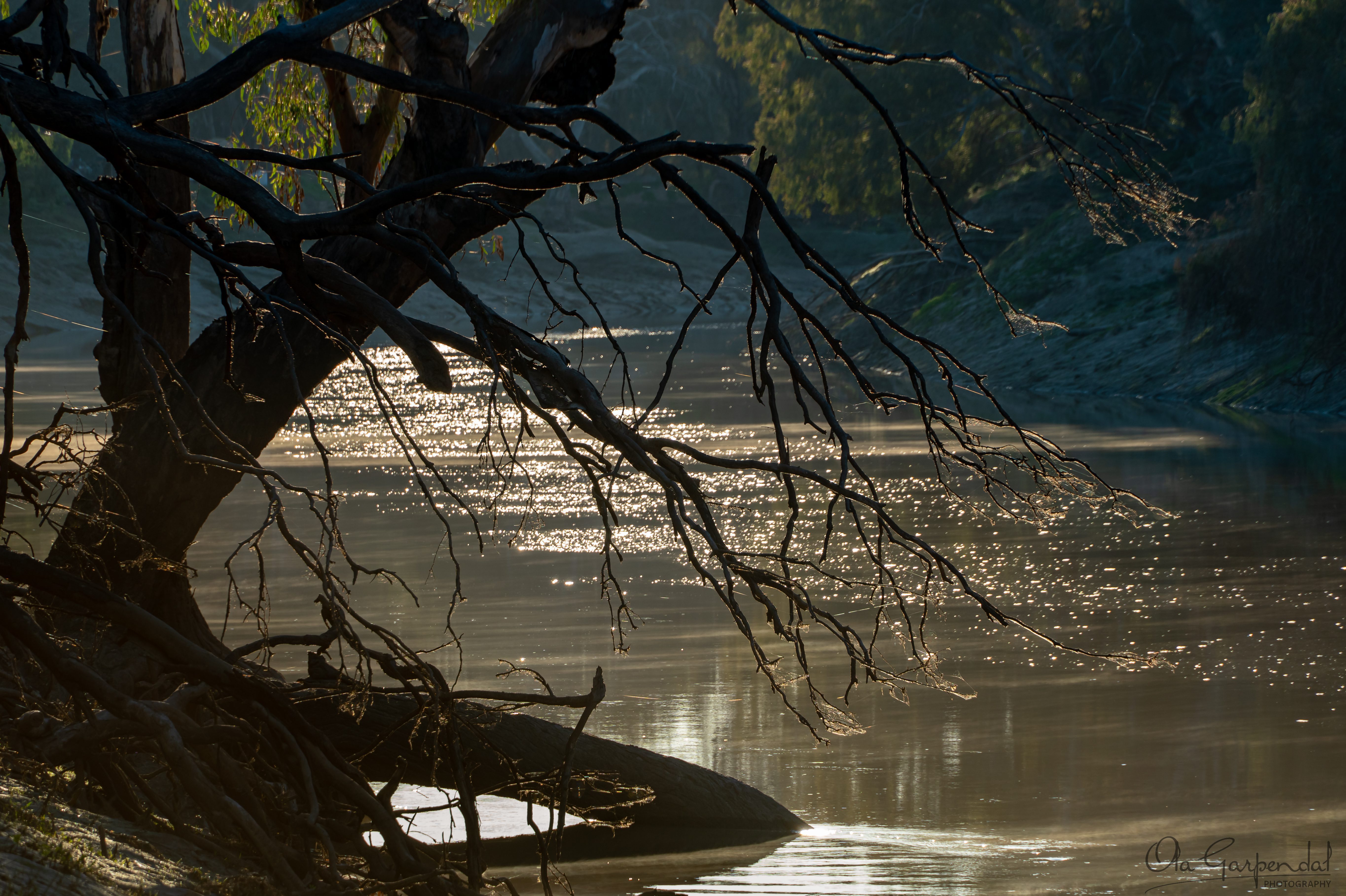 Darling River at Trilby Station Louth NSW
