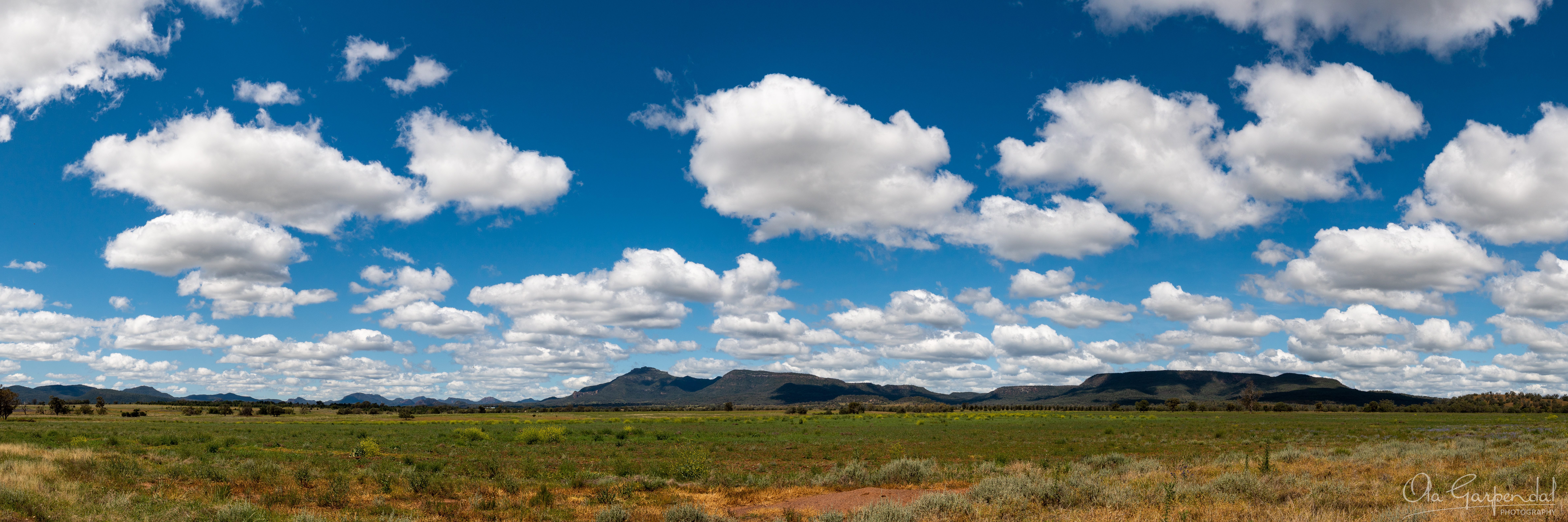 Warrumbungle Skyline