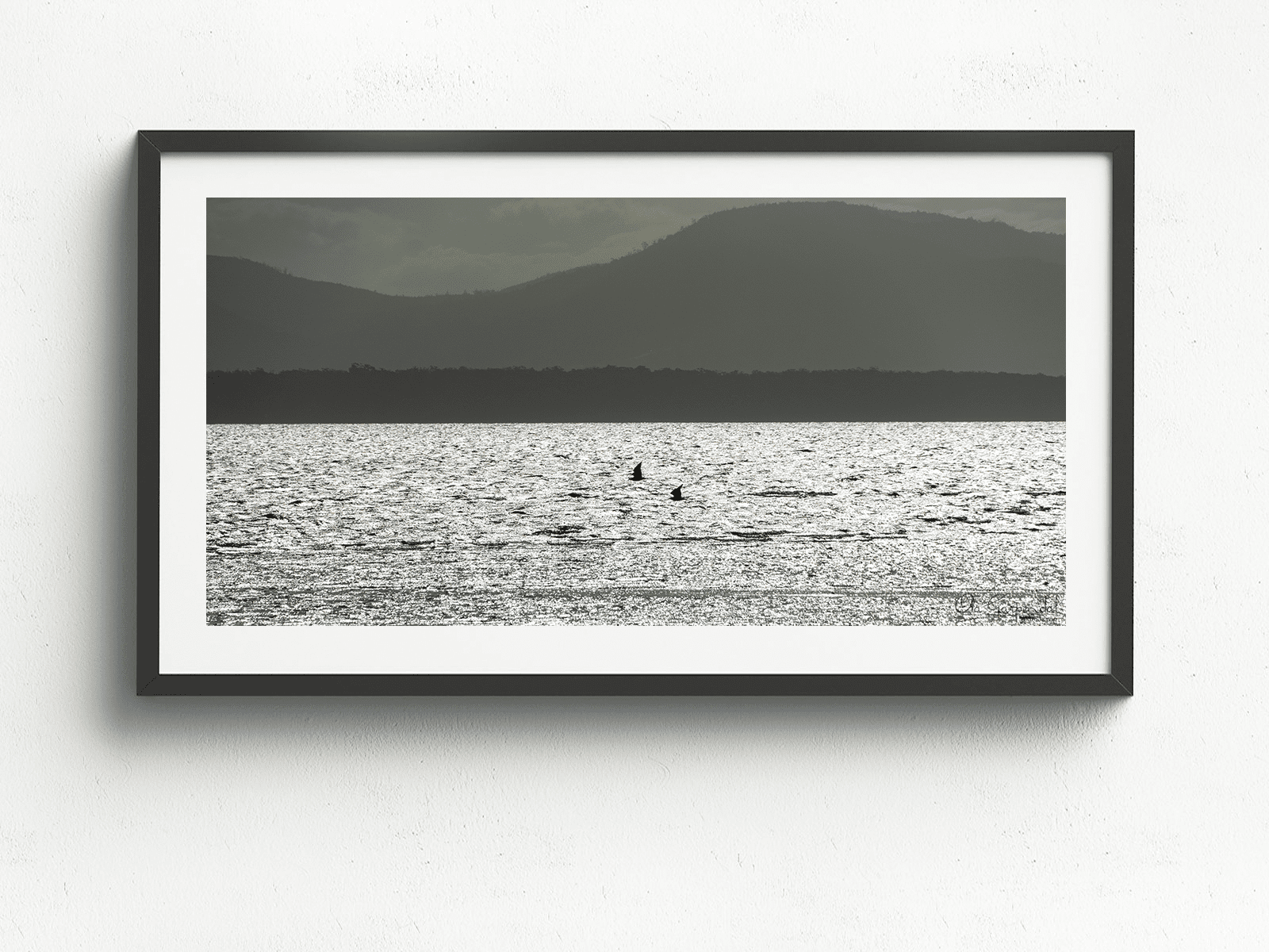 Birds at the Neck - Image 3