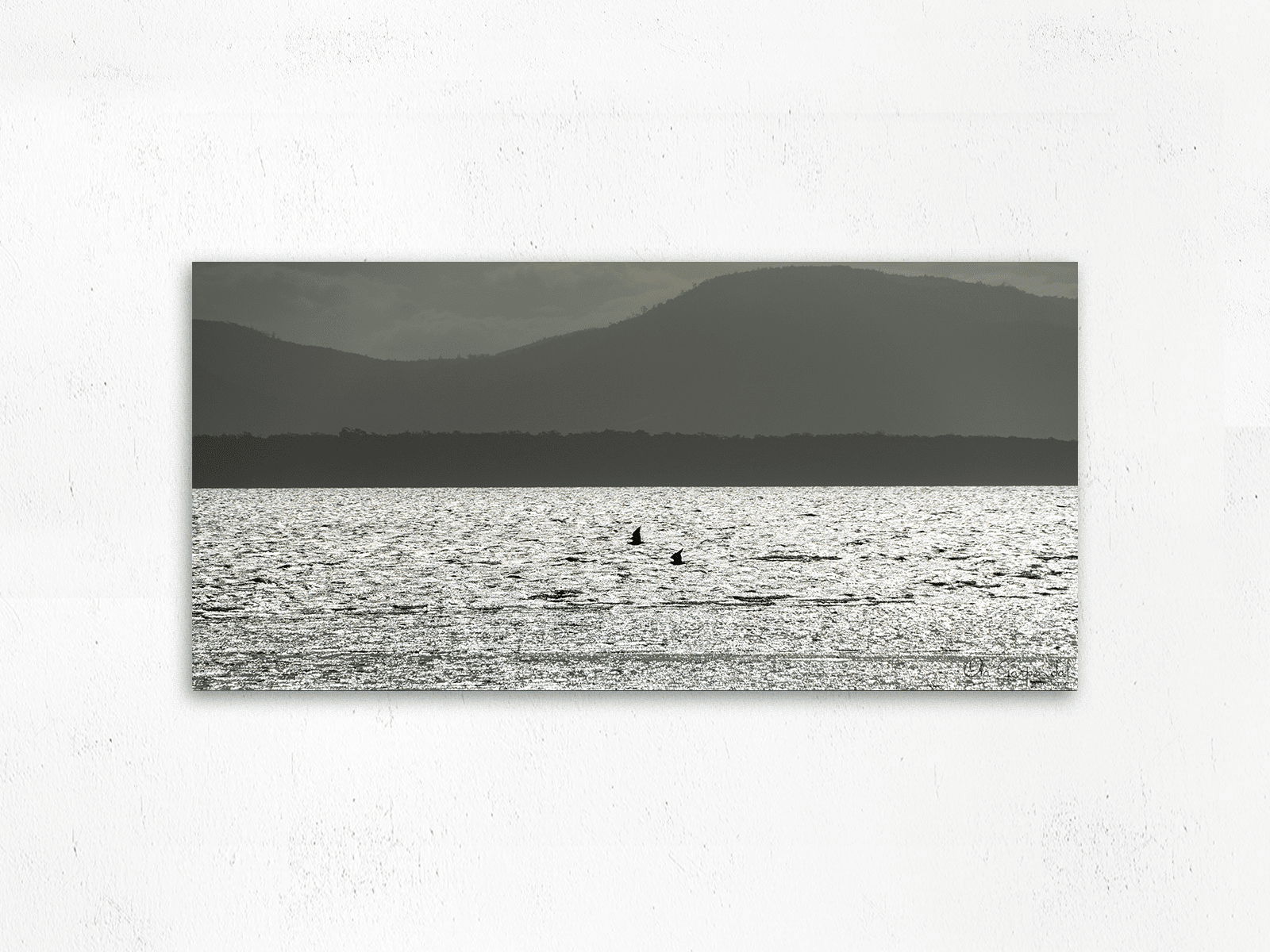 Birds at the Neck - Image 2