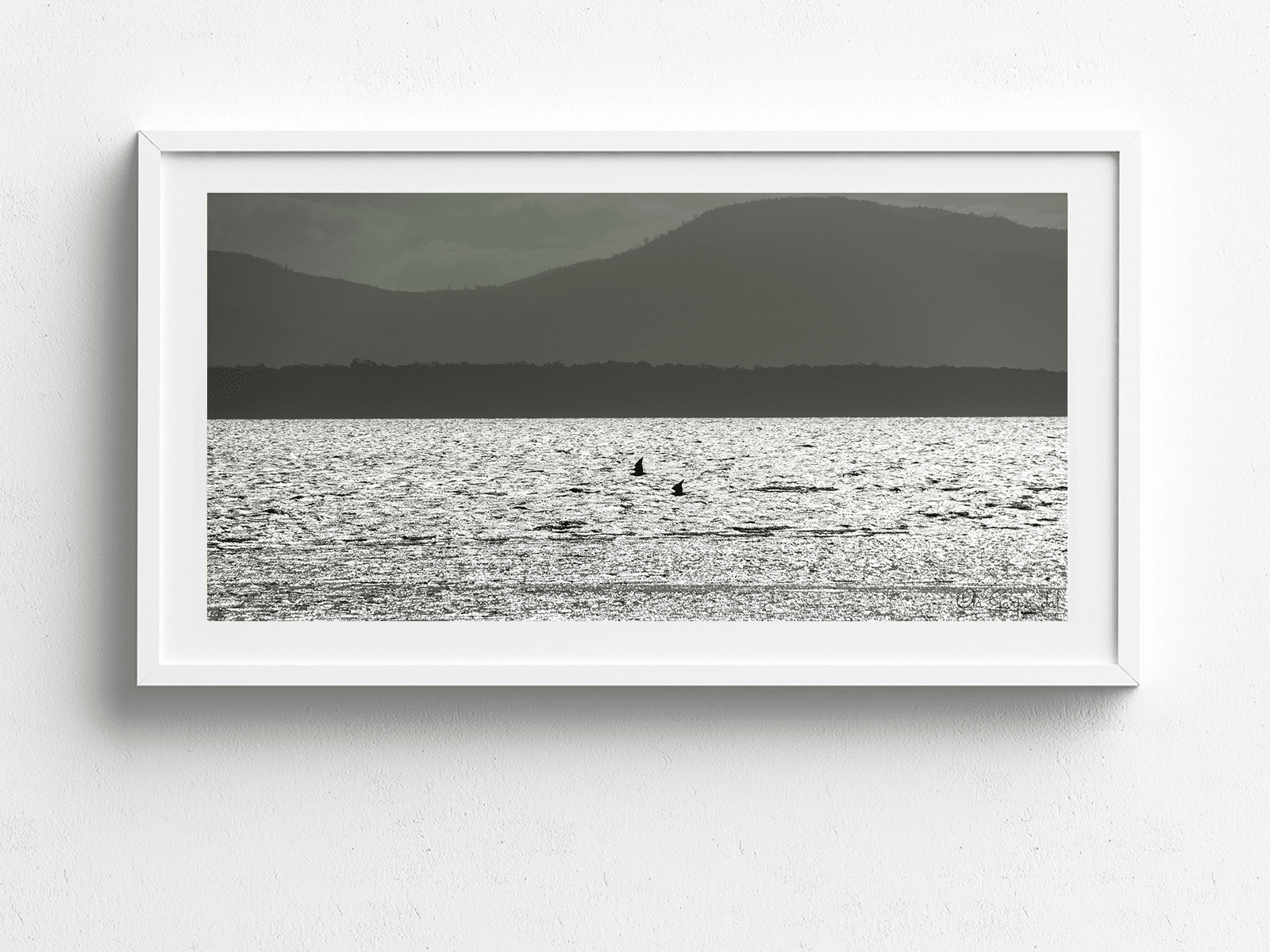Birds at the Neck - Image 5