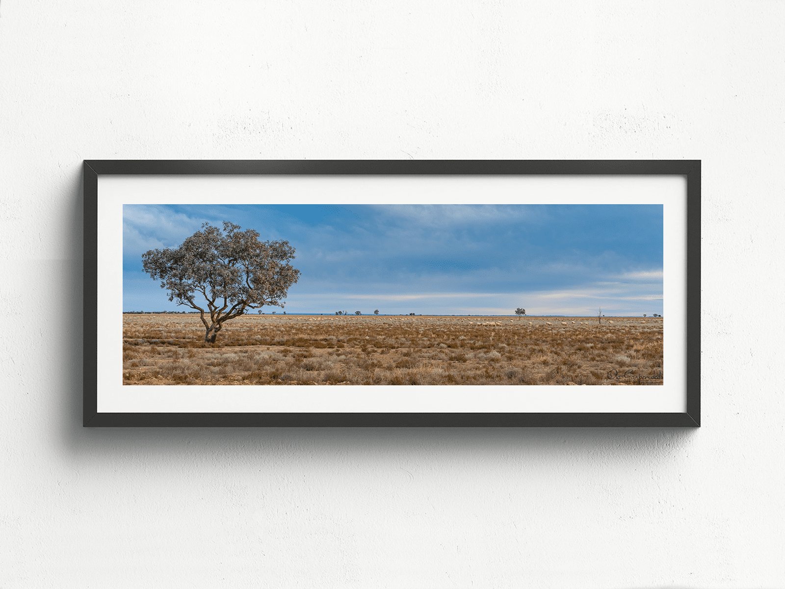 Sheep Paddock at Trilby Station - Image 3