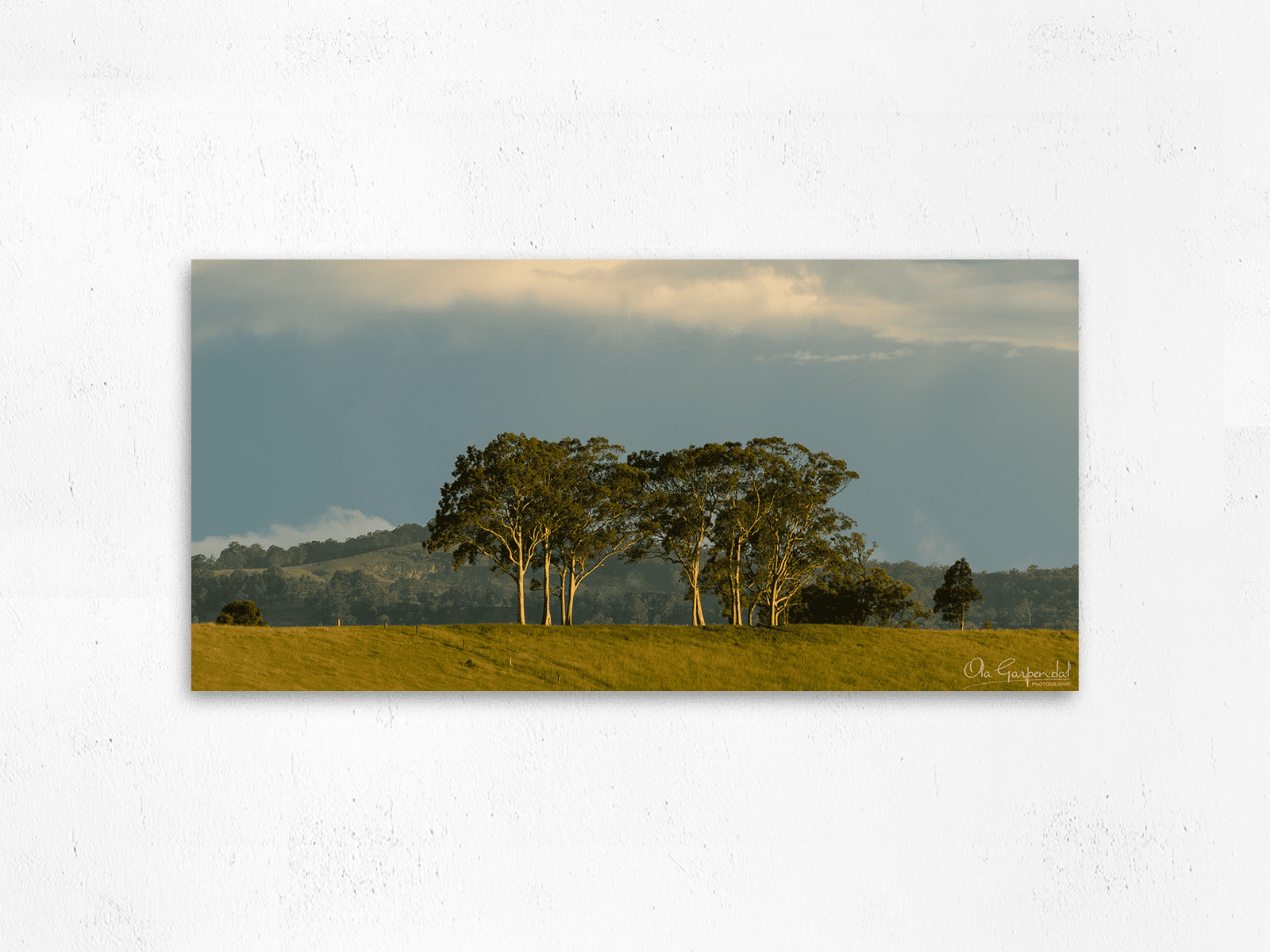 Trees on a Hill - Image 2