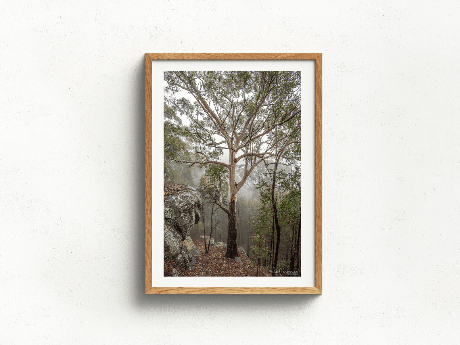 Gum Tree in Fog 3-2 P Timber Frame on small wall