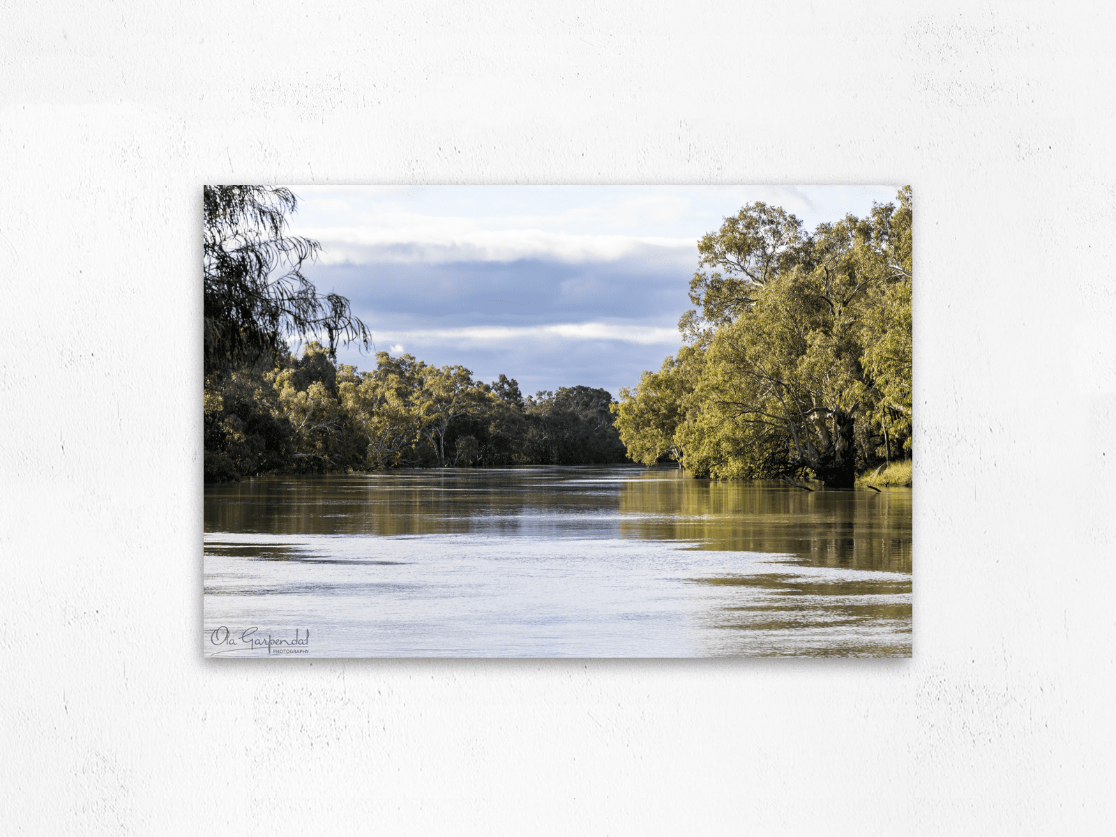 Darling River Tranquillity 2-3 L AFM on small wall
