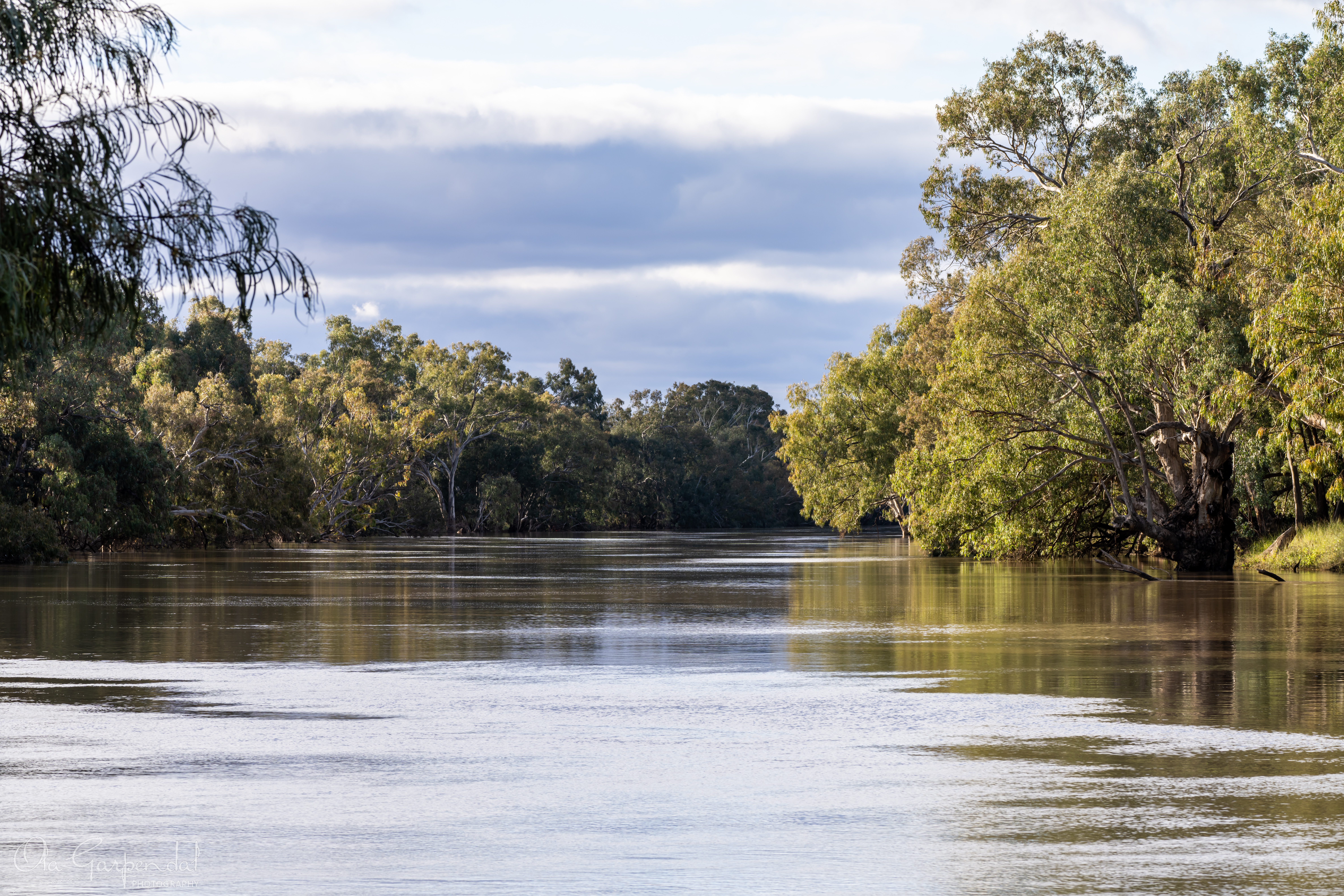 Darling River Tranquillity