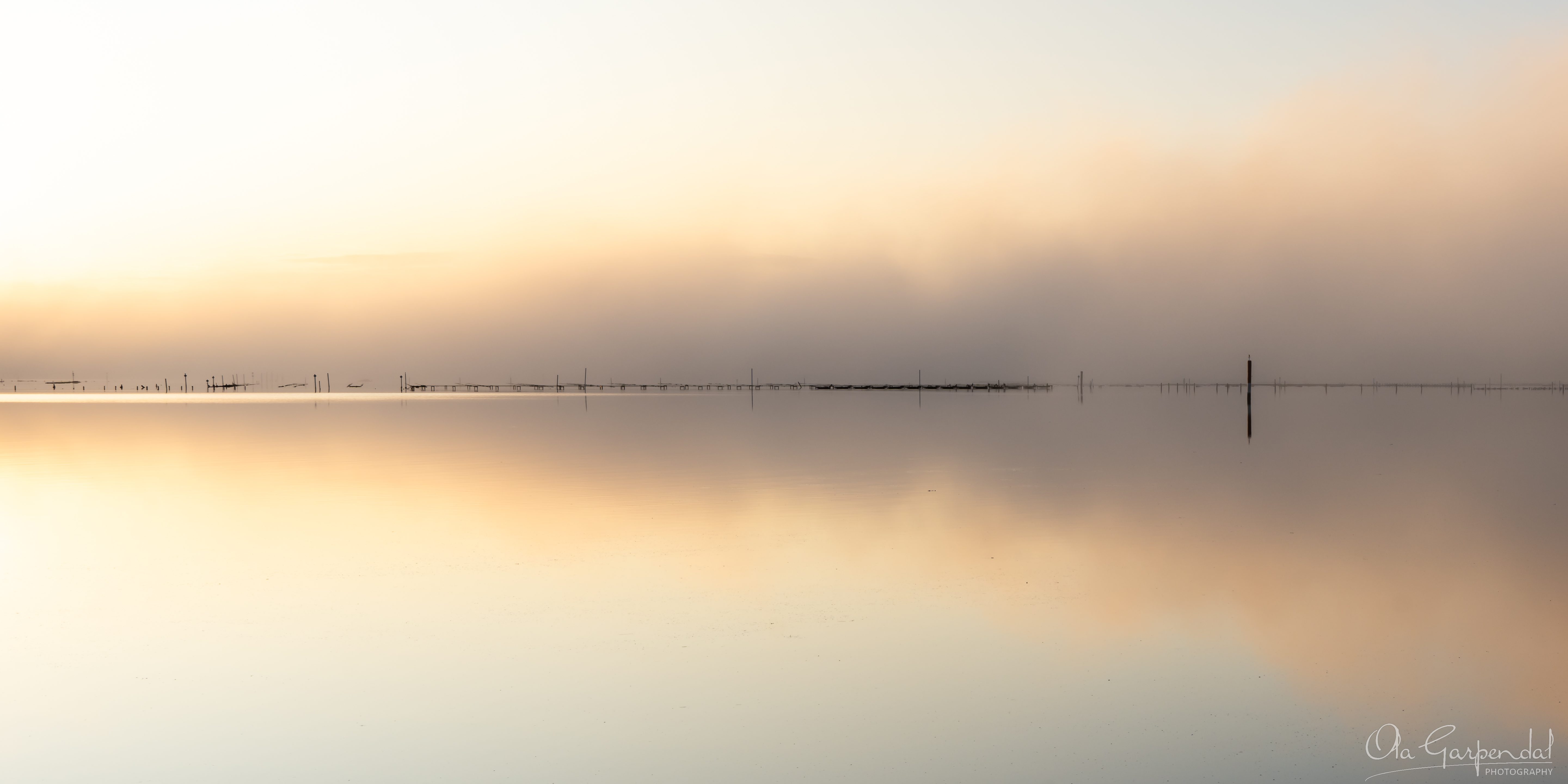 Oyster Trays in Mist