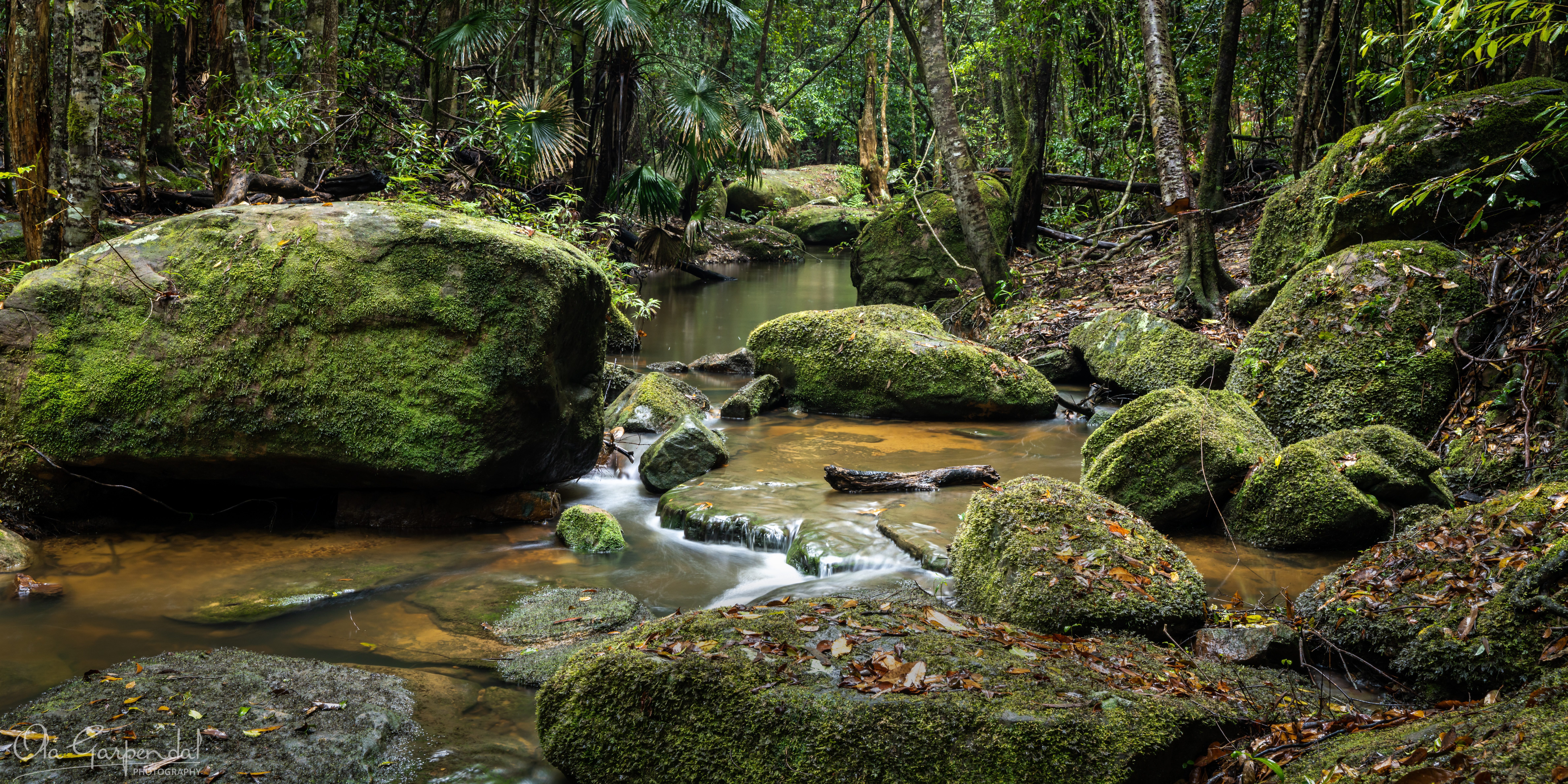Stoney Creek