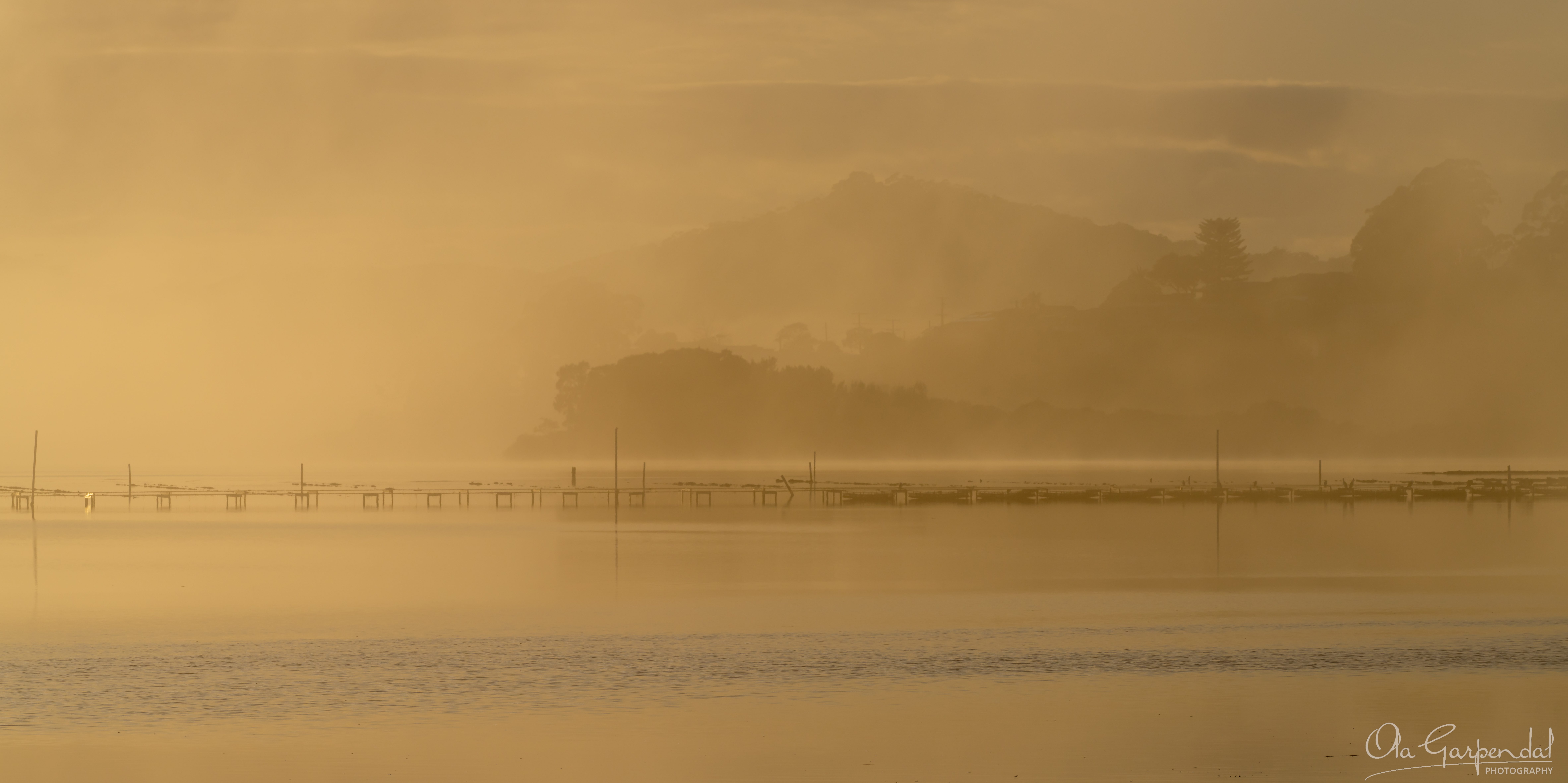 Gold Fog