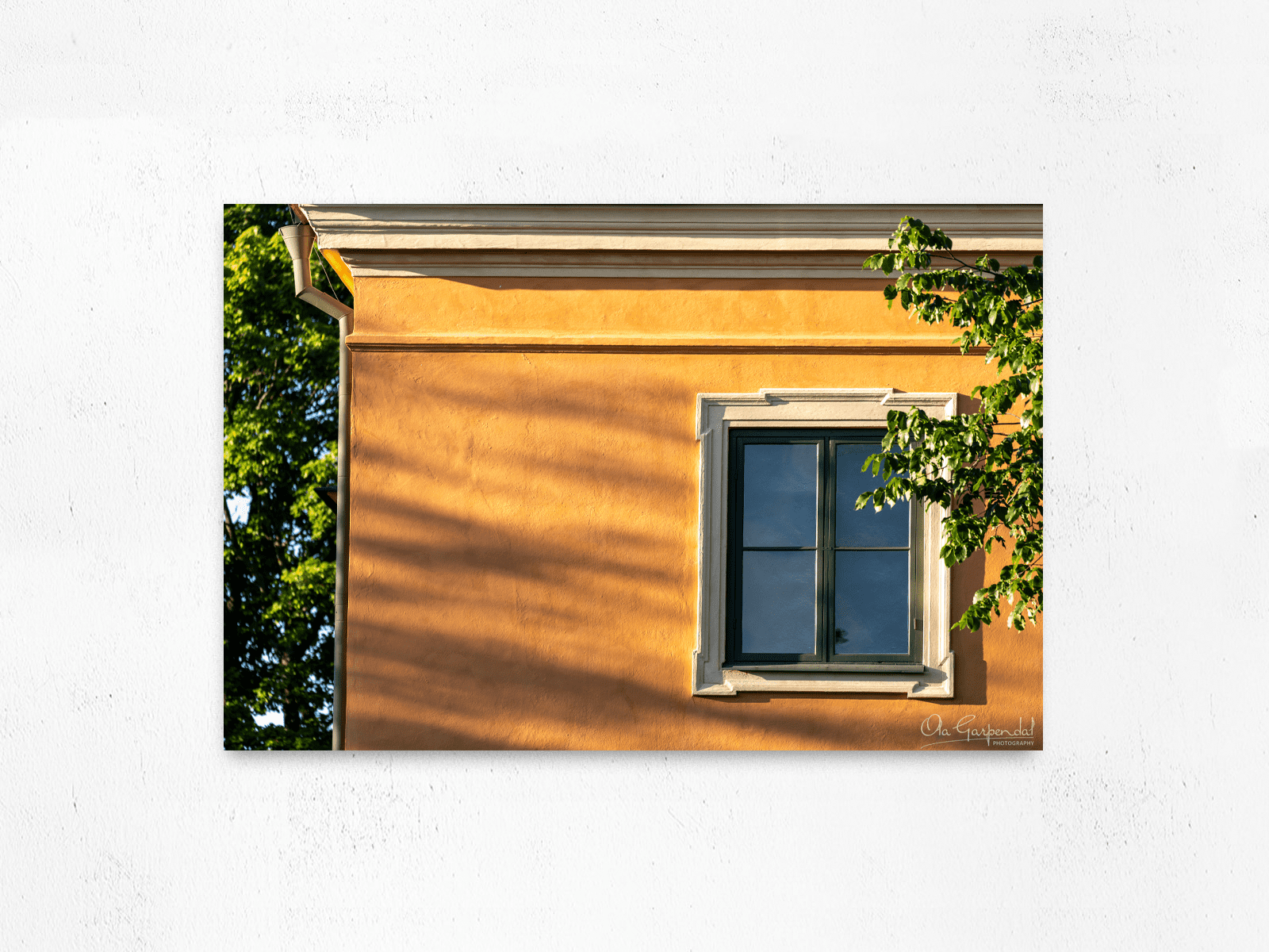 Morning Window 2-3 L AFM on small wall