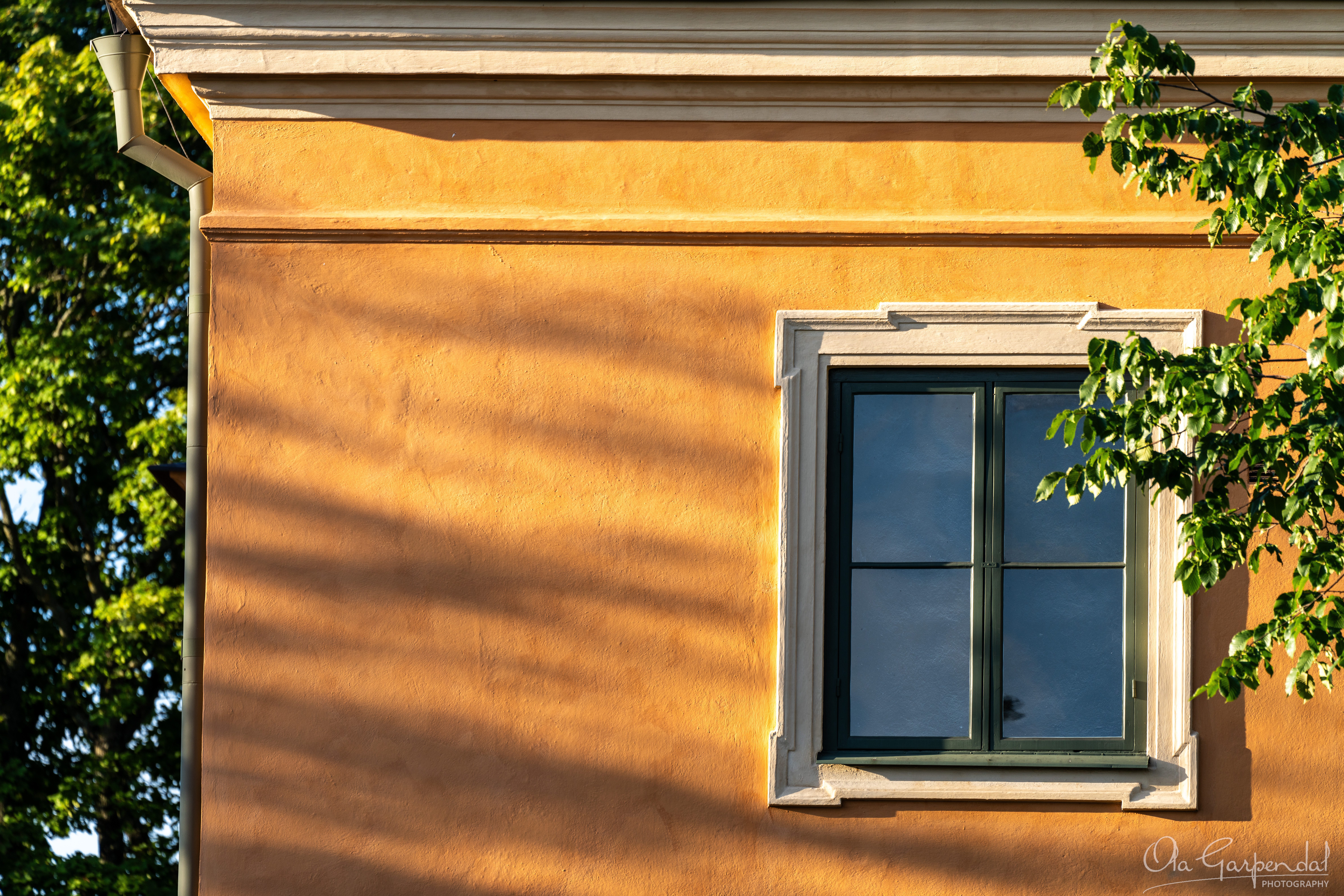 Morning Window