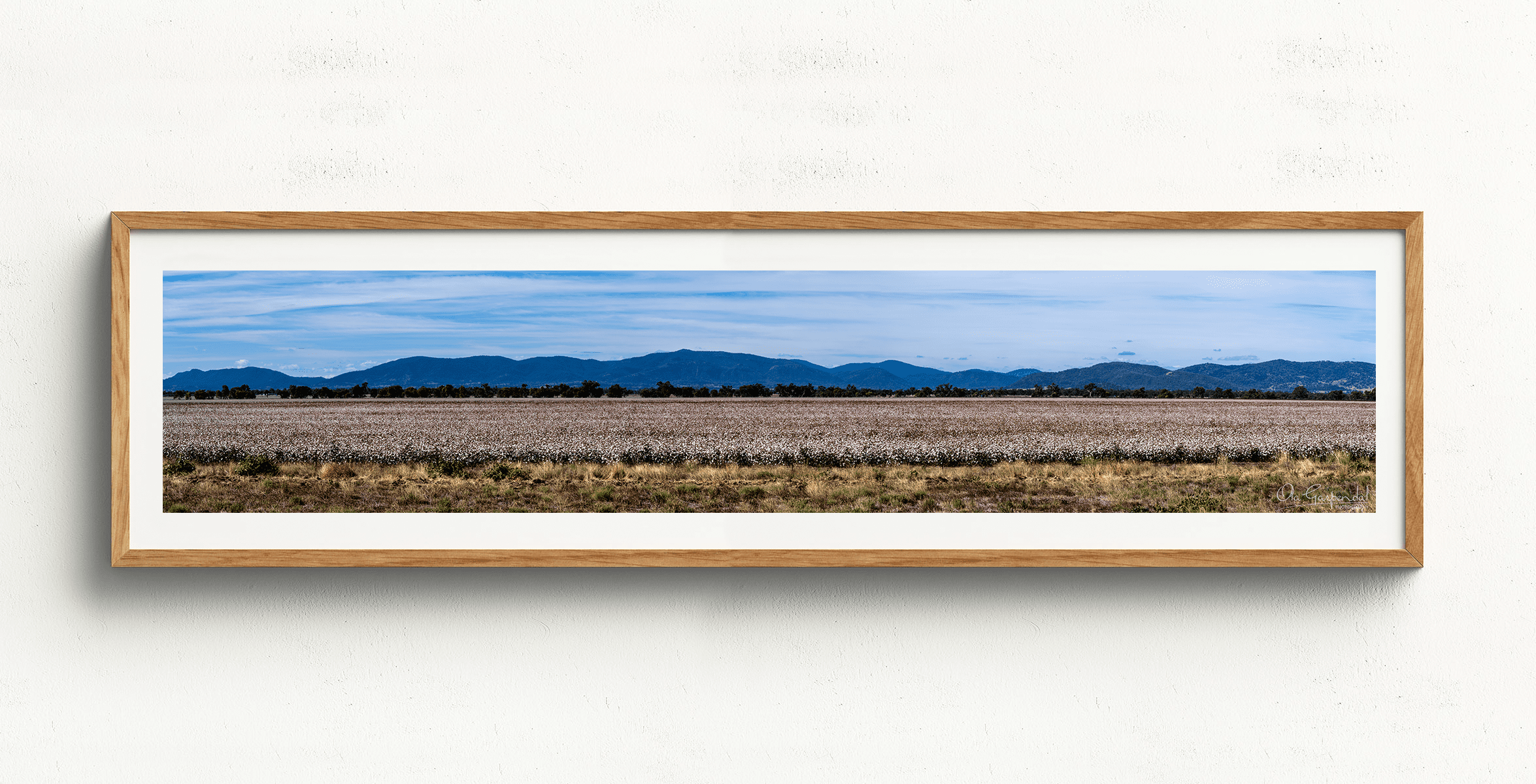 Cotton Field 1-5 L Timber Frame on small wall