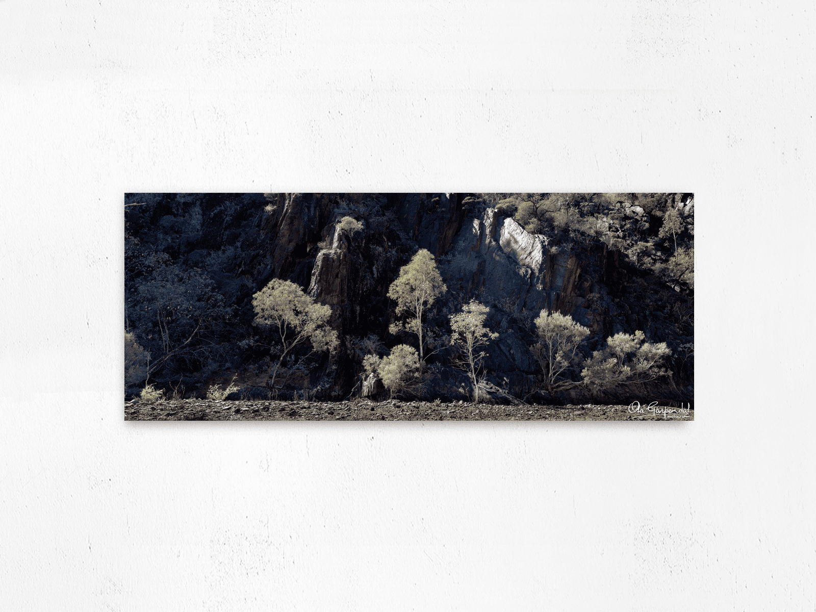 Sunlit gum trees in front of a cliff face displayed on an acrylic face mount on a wall