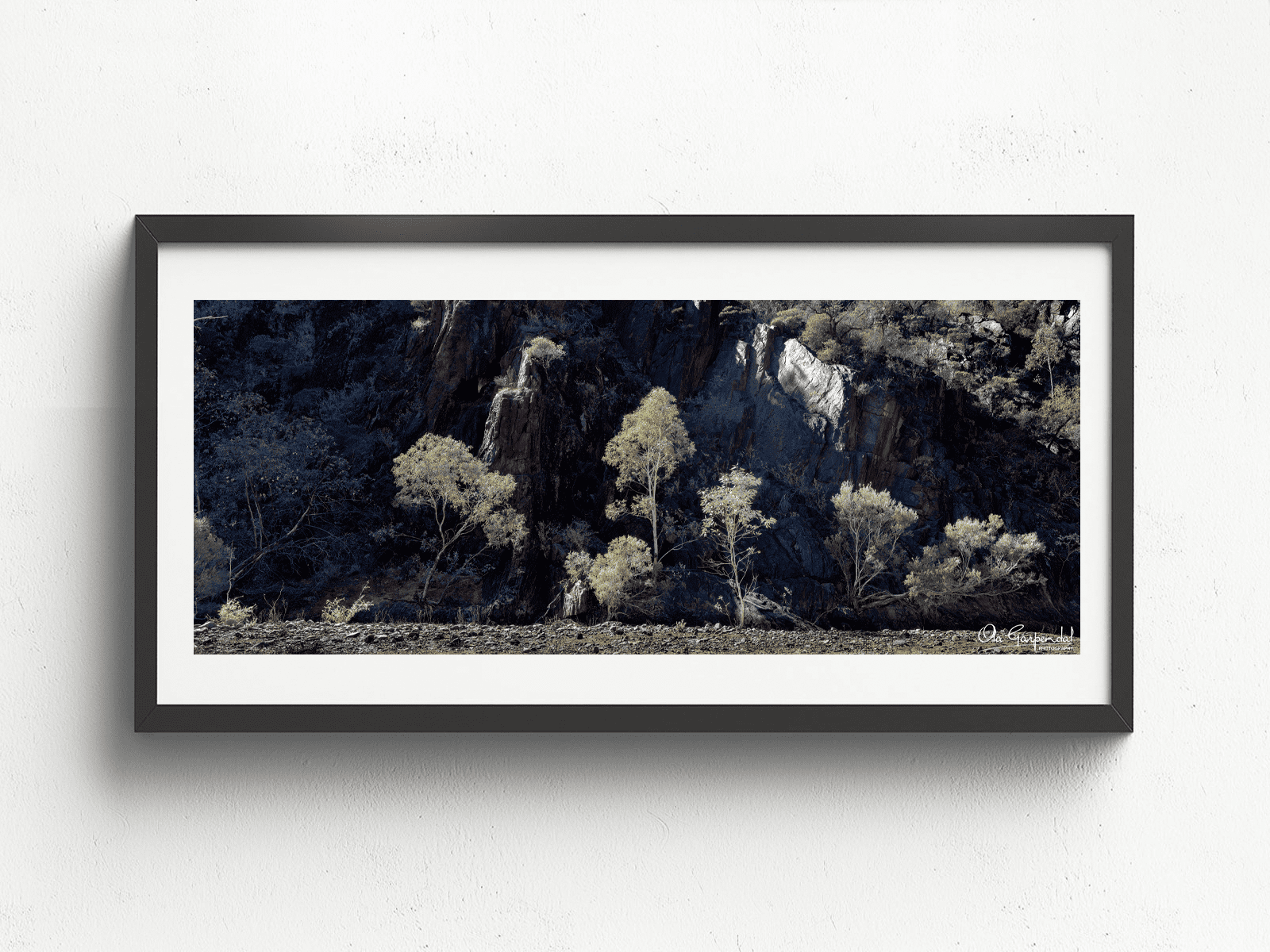 Sunlit gum trees in front of a cliff face displayed in a black frame on a wall