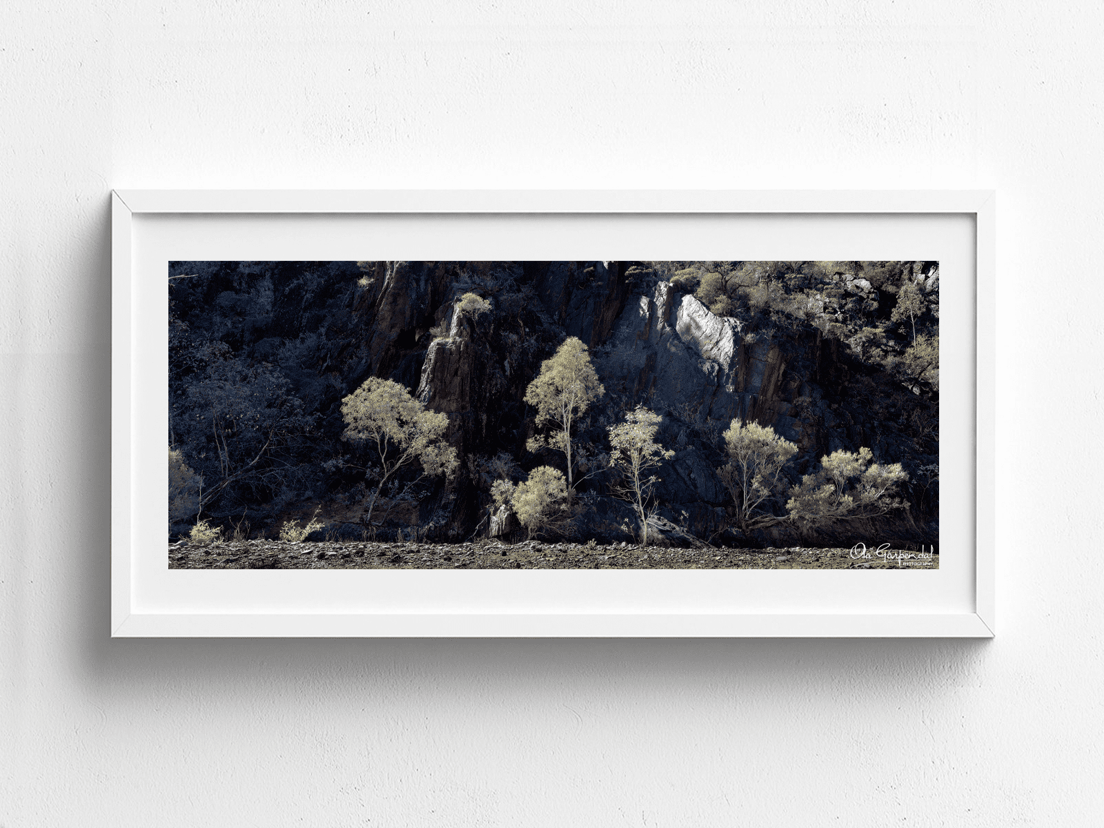Sunlit gum trees in front of a cliff face displayed in a white frame on a wall
