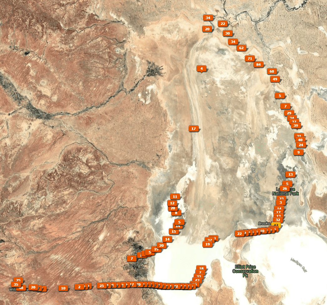 Flight path over Kati Thanda-Lake Eyre marked by the location tags that represent the photos taken