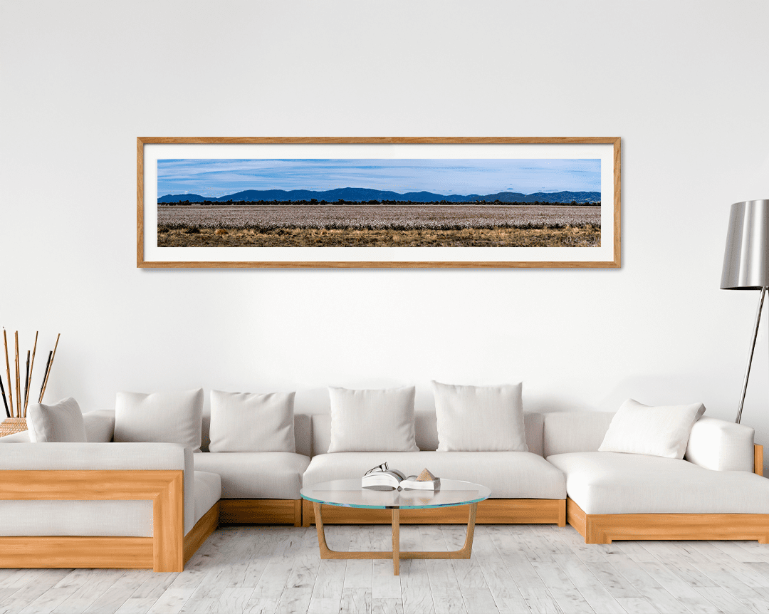 Cotton Field - Image 7