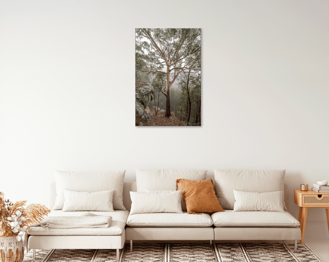 Gum Tree in Fog - Image 9