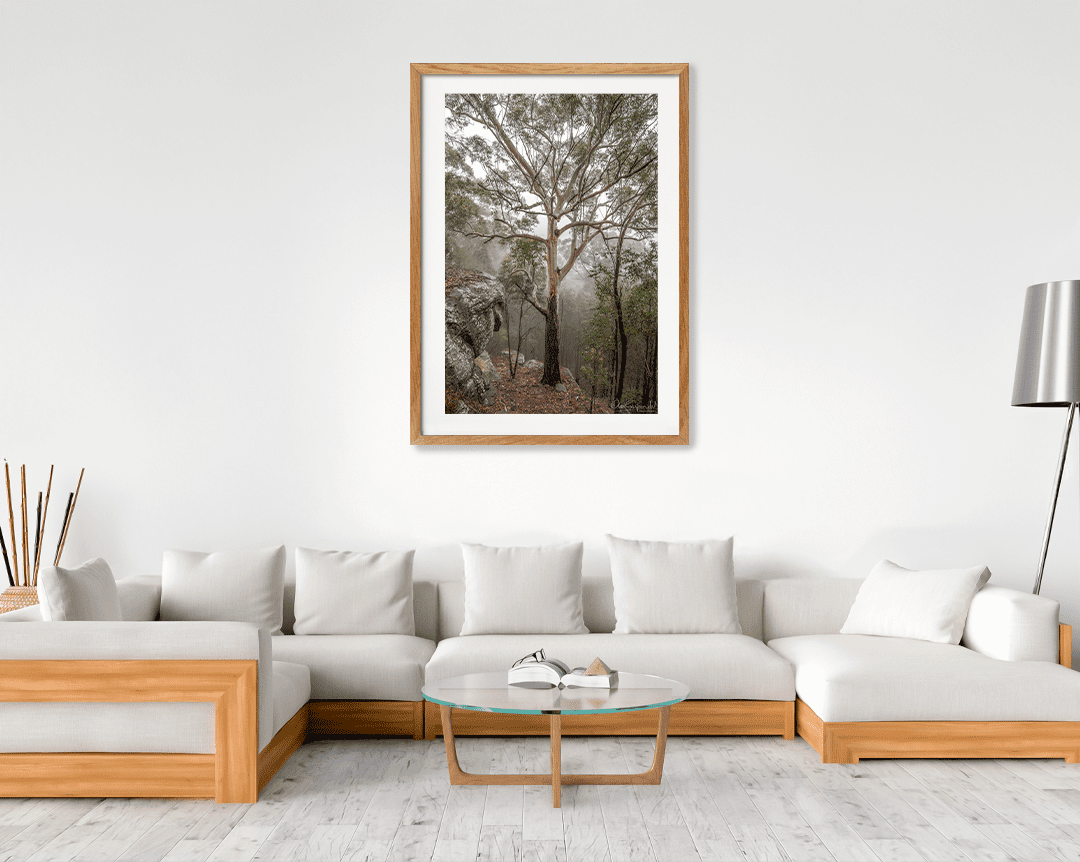 Gum Tree in Fog - Image 7