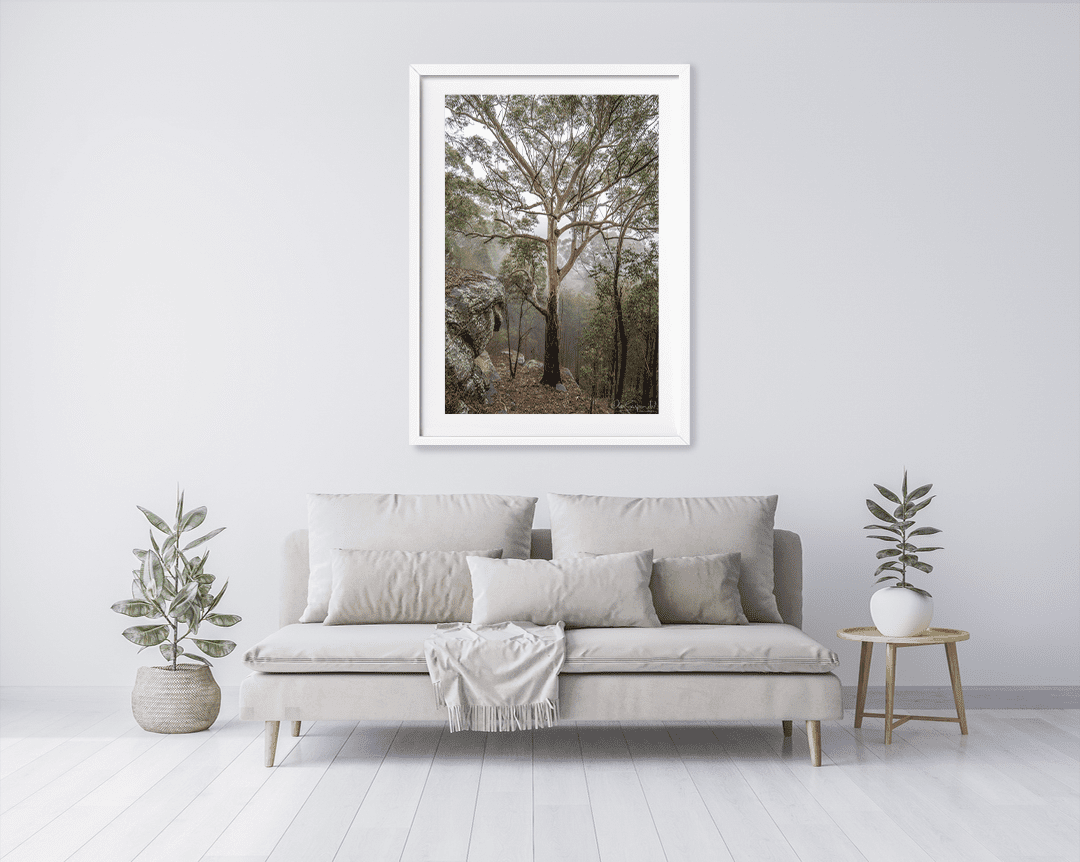 Gum Tree in Fog - Image 6