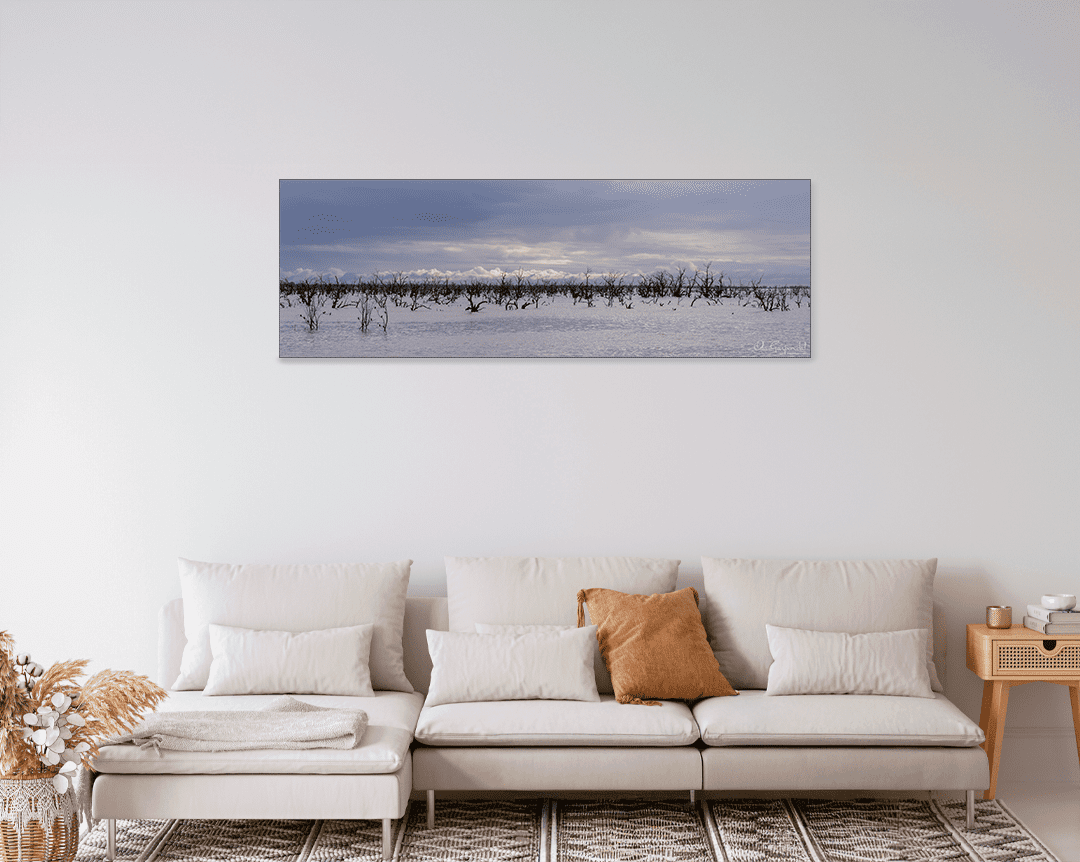 Lake Pamamaroo - Image 9