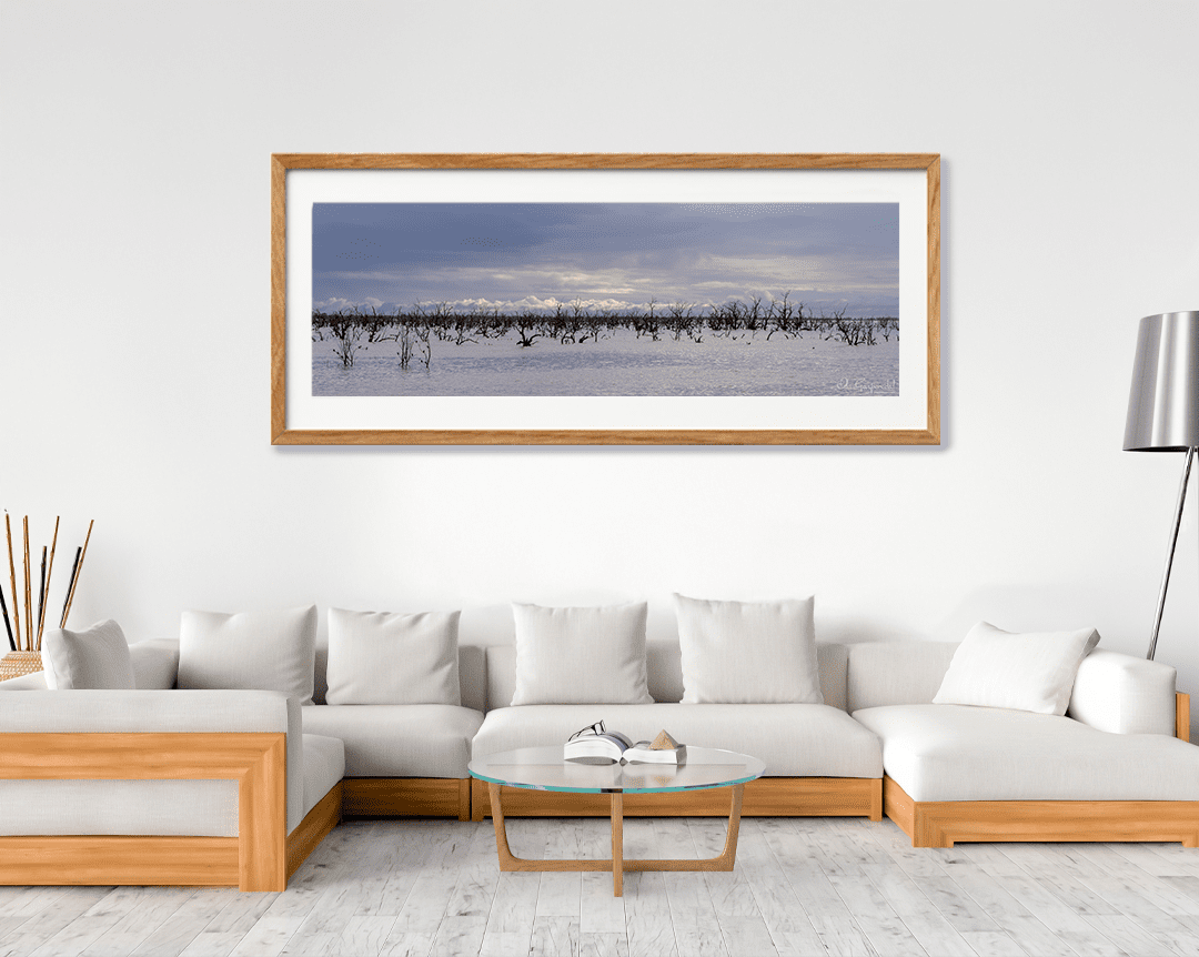 Lake Pamamaroo - Image 8