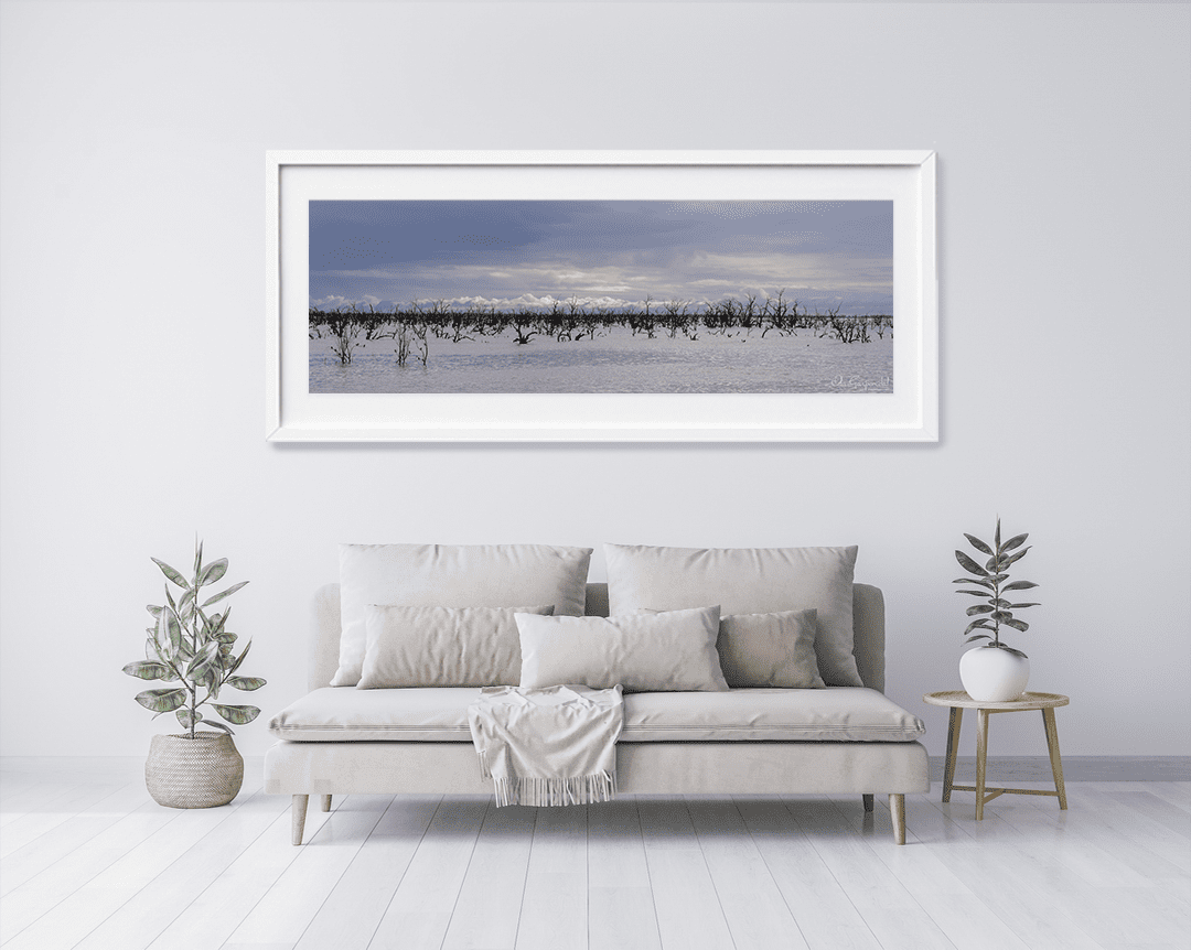 Lake Pamamaroo - Image 7