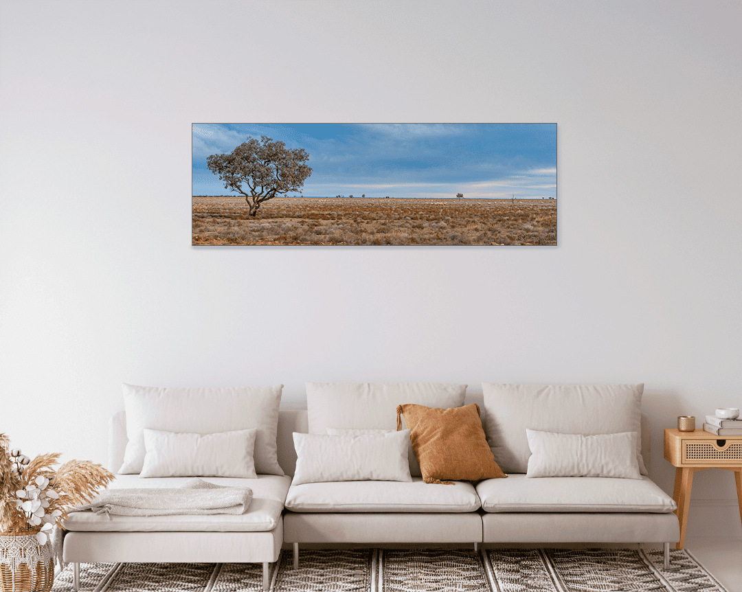 Sheep Paddock at Trilby Station - Image 9