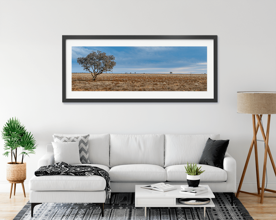 Sheep Paddock at Trilby Station - Image 8